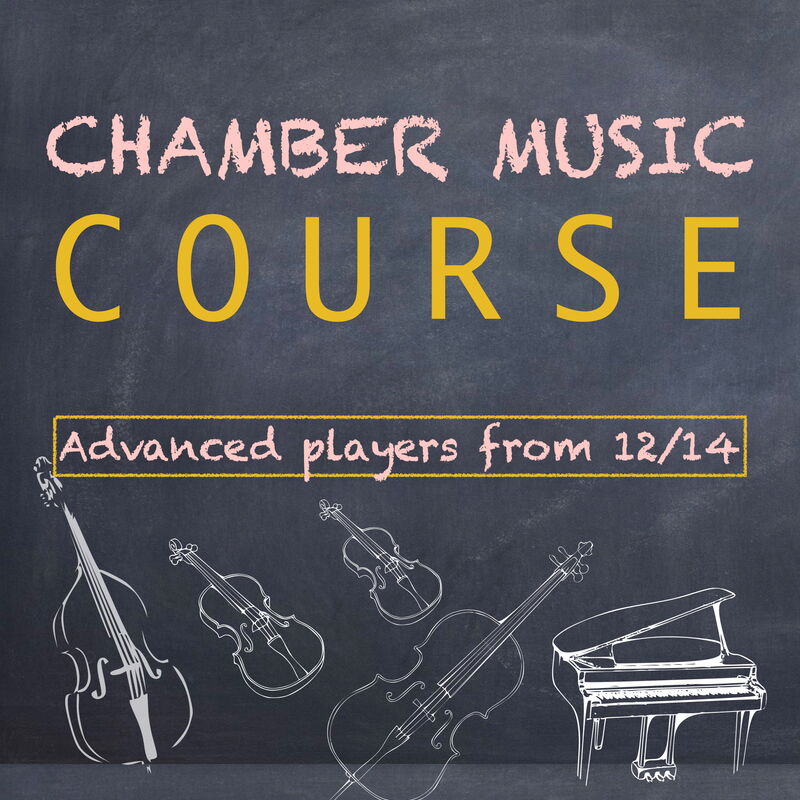 Chamber music course for advanced adolescenced
