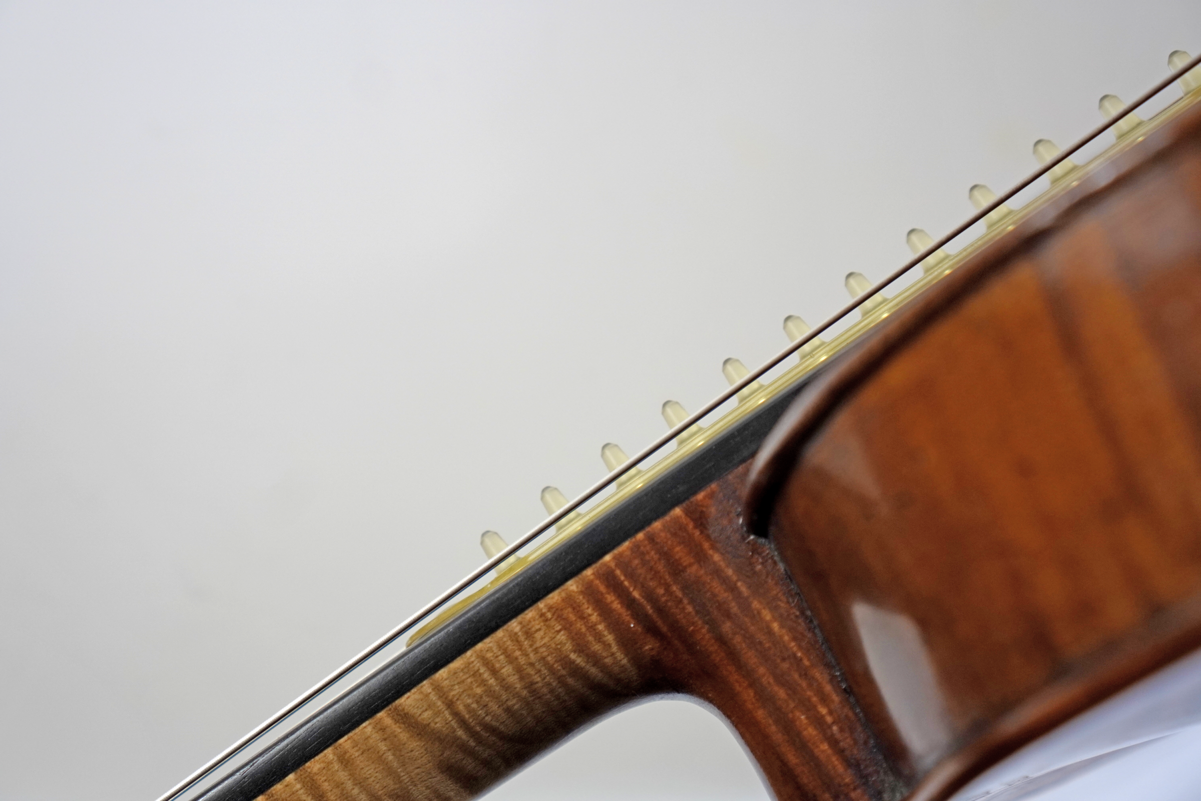 Resounding Fingerboard Violin and viola